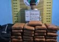 Hendak Bawa 21 Kg Ganja ke Sijunjung dengan Motor, Seorang Kurir Ditangkap di Pasaman