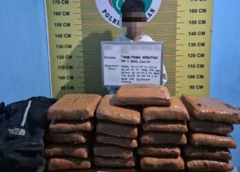 Hendak Bawa 21 Kg Ganja ke Sijunjung dengan Motor, Seorang Kurir Ditangkap di Pasaman