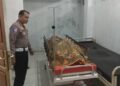 Tur dengan Sepeda Motor ke Jambi, PNS Payakumbuh Tewas Kecelakaan di Dharmasraya