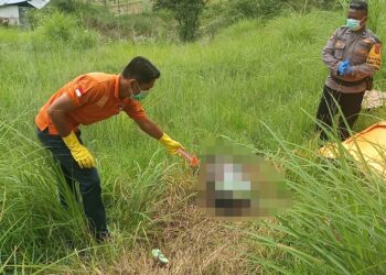 Mayat Perempuan Ditemukan Membusuk di Solok, Ditemukan Racun Rumput di Lokasi