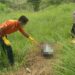 Mayat Perempuan Ditemukan Membusuk di Solok, Ditemukan Racun Rumput di Lokasi