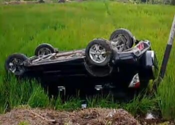 Video: 2 Minibus Terjun ke Sawah di Solok, 1 Terbalik