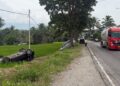 Pajero dan Toyota Rush Terperosok ke Sawah hingga Terbalik di Jalan Solok-Padang