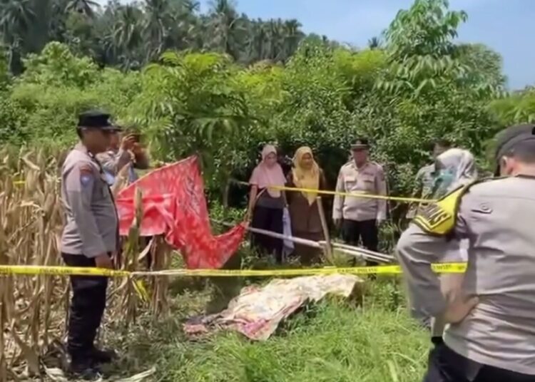 Sesosok mayat ditemukan warga di area ladang jagung Korong Rukam, Nagari Koto Dalam Selatan, Kecamatan Padang Sago, Kabupaten Padang Pariaman, pada Selasa (27/10/2026) pagi. Foto: Tangkapan layar media sosial