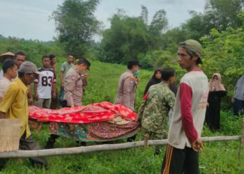 Sesosok Mayat Ditemukan di Ladang Jagung Padang Pariaman, Ini Identitasnya
