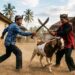Berkelahi dengan Senjata Tajam karena Masalah Kambing, Dua Orang di Padang Pariaman Terluka