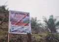 Soroti Temuan Sawit Ilegal di Bekas Karhutla di Dharmasraya, LBH Padang Desak Perusahaan Diperiksa
