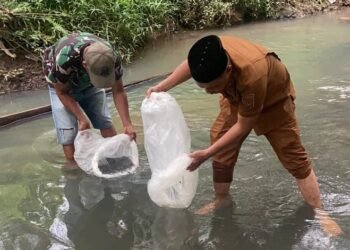 Pemkab Padang Pariaman Salurkan 50.000 Benih Ikan di Tujuh Nagari, Dorong Ekonomi Warga