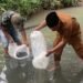Pemkab Padang Pariaman Salurkan 50.000 Benih Ikan di Tujuh Nagari, Dorong Ekonomi Warga