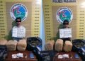 Mau Bawa Ganja 23 Kg ke Kota Solok, Dua Pemuda Ditangkap di Pasaman