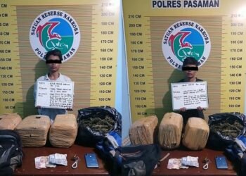 Mau Bawa Ganja 23 Kg ke Kota Solok, Dua Pemuda Ditangkap di Pasaman
