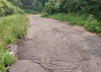 Bahaya di Jalan Lintas Sumbar-Riau di Pasaman: Banyak Lubang, Semak Belukar, dan Jurang Tanpa Pengaman