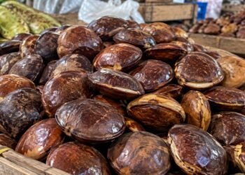 Jengkol Turun, Inflasi Sumbar Ikut Tertahan